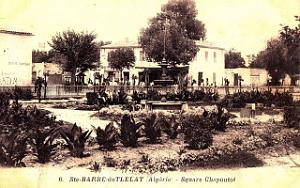 Ste barbe du tlelat 620